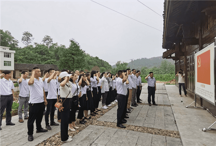 公司開(kāi)展“支部聯(lián)建謀奮進(jìn)，產(chǎn)業(yè)互鑒促發(fā)展”主題黨日活動(dòng)